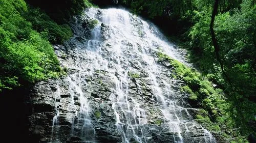 高效绿色